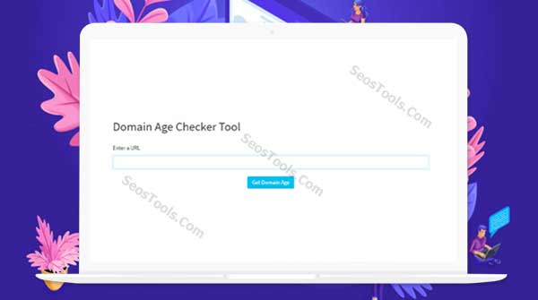 domain age checker